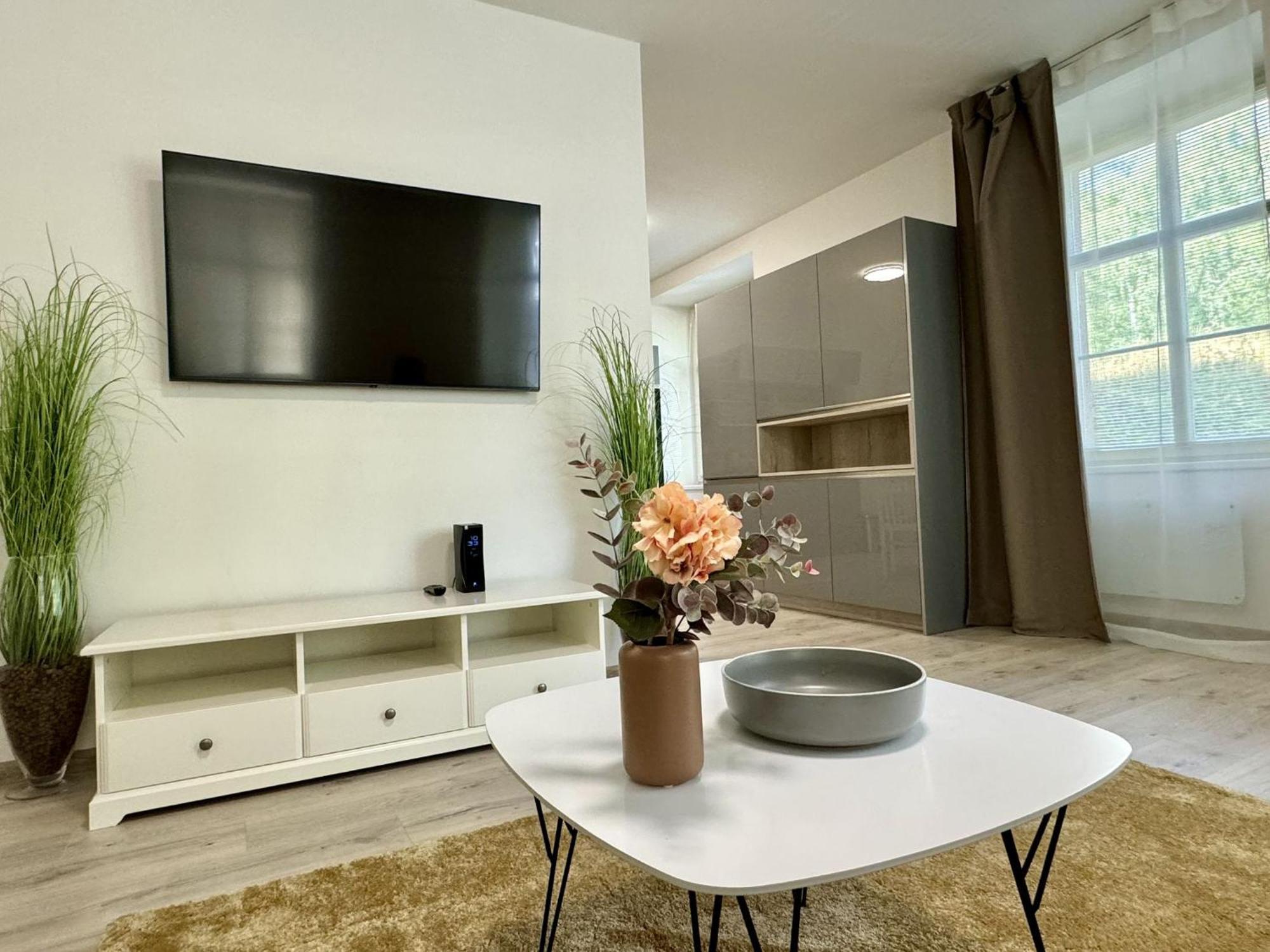 Rivercity Apartments Karlovy Vary Extérieur photo